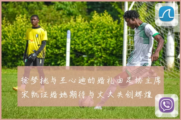 徐梦桃与王心迪的婚礼由足协主席宋凯证婚她期待与丈夫共创辉煌