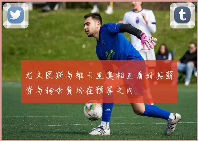 尤文图斯与维卡里奥相互看好其薪资与转会费均在预算之内